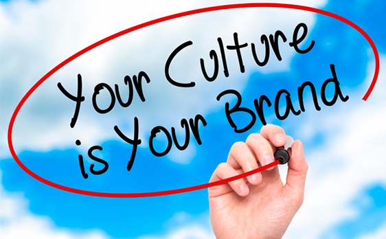 Success Culture